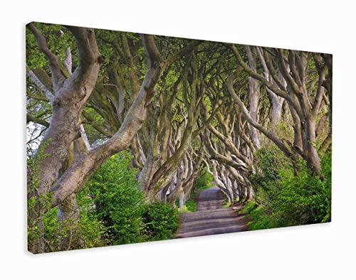 Game Of Thrones Location King's Road - Pintura para pared (20 x 12 pulgadas)